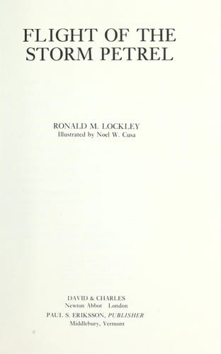 Flight of the storm petrel