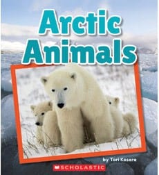 Arctic Animals