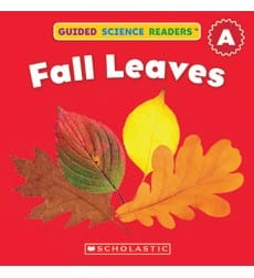 Fall Leaves