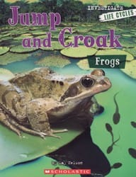 Jump and Croak Frogs