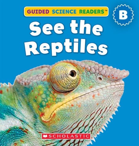 See the Reptiles