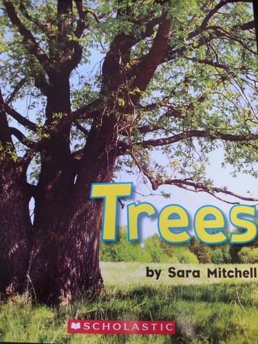 Trees