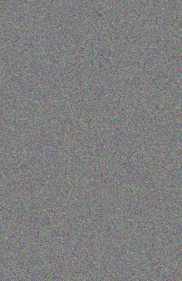 The Warrior Sheep Go West