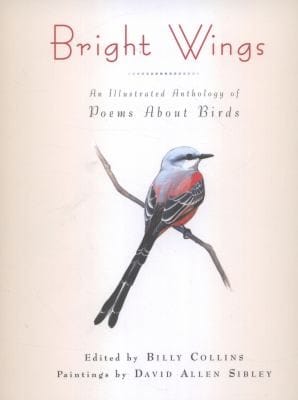 Bright Wings An Illustrated Anthology Of Poems About Birds