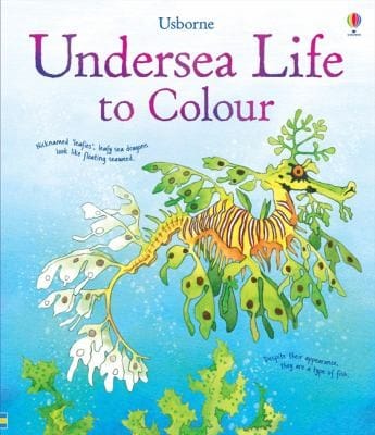 Undersea Life Of Colour Susan Meredith