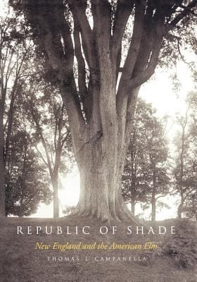 Republic Of Shade New England And The American Elm