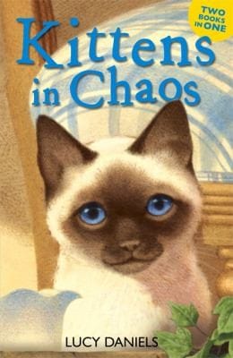 Kittens In Chaos