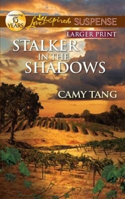 Stalker In The Shadows