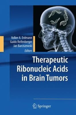 Therapeutic Ribonucleic Acids In Brain Tumors