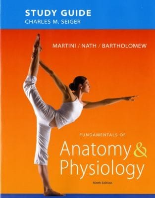 Study Guide Fundamentals Of Anatomy Physiology Ninth Edition Frederic H Martini Judi L Nath Edwin F Bartholomew
