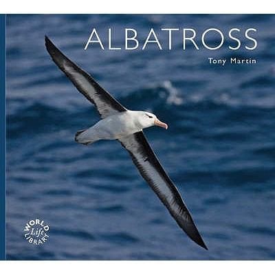 Albatross
