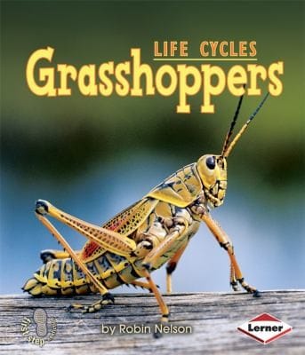 Grasshoppers
            
                First Step Nonfiction Paperback