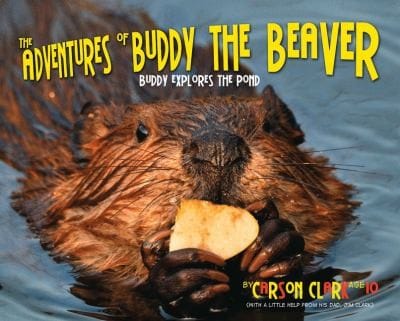 Adventures Of Buddy The Beaver Buddy Explores The Pond