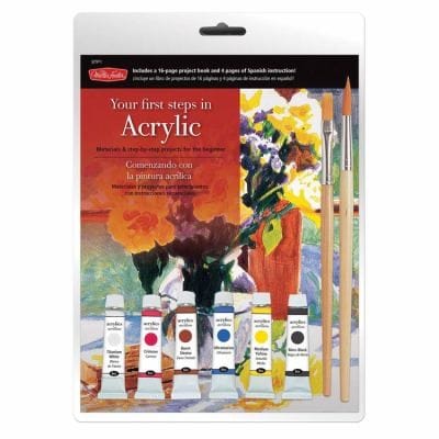 Acrylic Starter Pack Materials Instruction For The Beginner