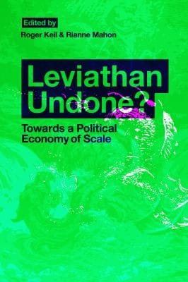 Leviathan Undone Towards A Political Economy Of Scale