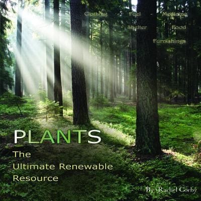 20 Amazing Plants And Their Practical Uses