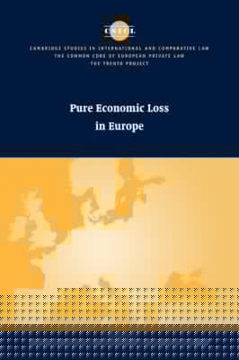 Pure Economic Loss In Europe