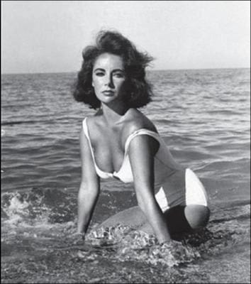 Elizabeth Taylor Journal