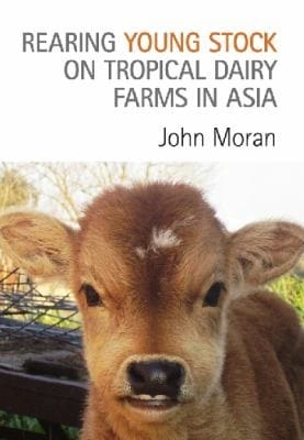 Rearing Young Stock On Tropical Dairy Farms In Asia