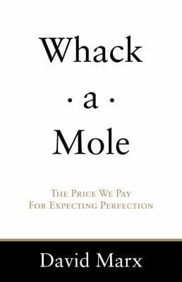 Whackamole The Price We Pay For Expecting Perfection