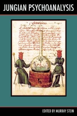 Jungian Psychoanalysis Working In The Spirit Of Cg Jung