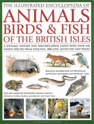 The Illustrated World Encyclopedia Of Animals Birds Fish Of The British Isles