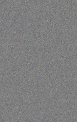 The Gamekeeper's Lady