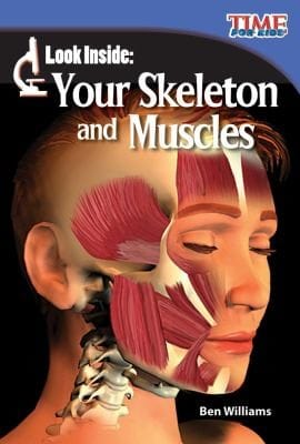 Look Inside Your Skeleton And Muscles