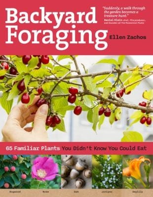 Everyday Foraging