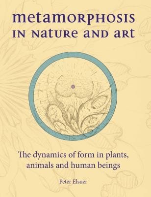 Metamorphosis In Nature And Art The Dynamics Of Form In Plants Animals And Human Beings