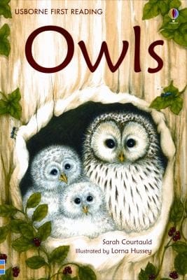 Owls
            
                Usborne First Reading Level 4