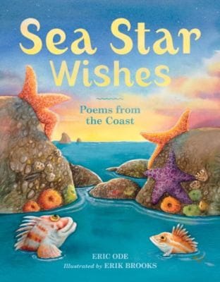 Sea Star Wishes Poems From The Coast