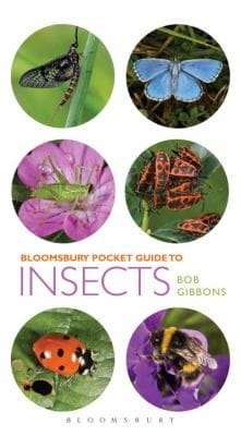 Pocket Guide to Insects
            
                Pocket Guides