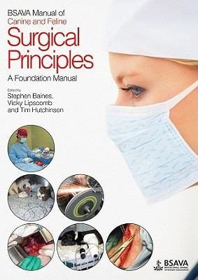 Bsava Manual Of Surgical Principles