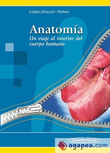 Anatomía : un viaje al interior del cuerpo humano