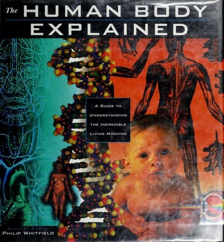 The Human body explained