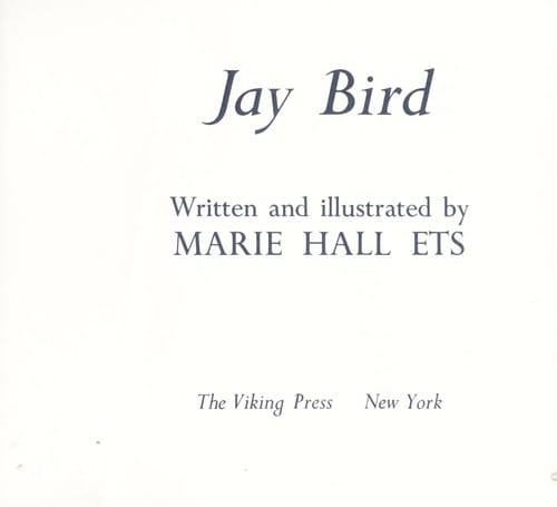Jay bird