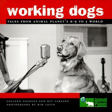 Working dogs