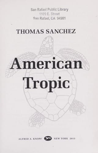 American tropic