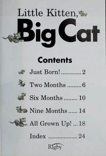 Little kitten, big cat