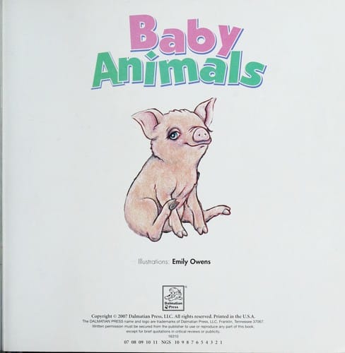 Baby animals
