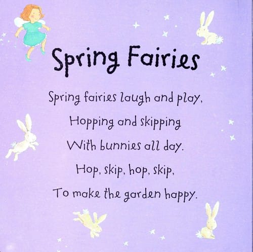Fairy garden