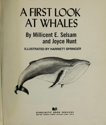 A first look at whales