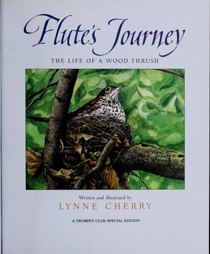 Flute's journey
