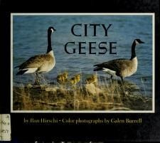 City geese