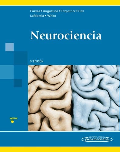 Neurociencia - 5. edición