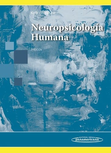 Neuropsicología humana - 7. edición