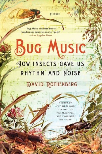 Bug music : how insects gave us rhythm and noise - 1. ed.