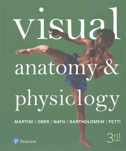 Visual anatomy & physiology