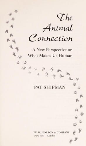 The animal connection